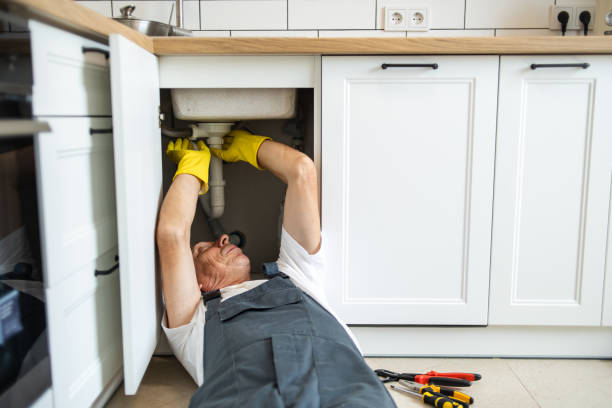 Best Local Plumber Services  in Archer, FL