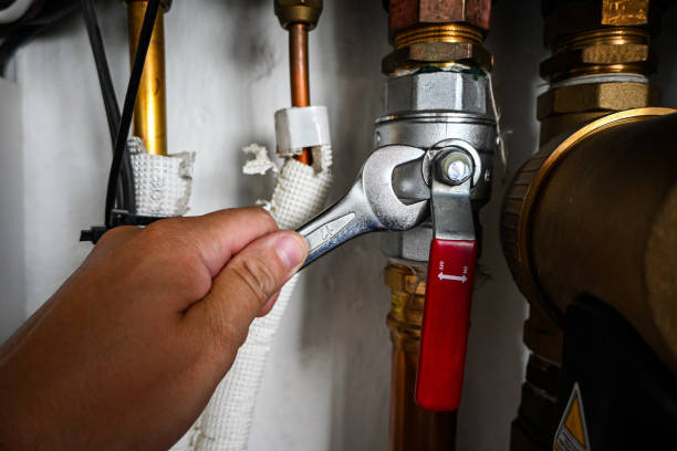 Best Residential Plumbing Services  in Archer, FL